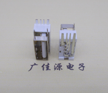 遂宁USB侧立式短体10.0尺寸 侧插加宽脚5A大电流插座