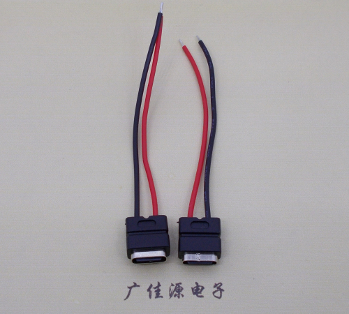 遂宁type c2p防水母座焊线式带线注塑成型带接线端子/不带接线端子充电连接器